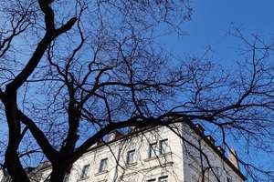 CHARMANTE 3-ZIMMER-ALTBAU-ETW, ca. 90 m², 1.OG (kein Lift),beliebte Lage NEUHAUSEN-Blutenburgstraße