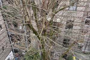 Absolut ruhiges Wohnen am beliebten RATHENAUPLATZ – 50674 Neustadt/Süd, Köln – Vorschaubild 6