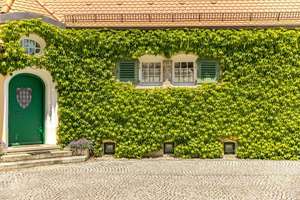 Villa Riemerschmid: Ein bewohnbares Gesamtkunstwerk des deutschen Jugendstils – Die vollständige Adresse der Immobilie erhältst du vom Anbieter., 81245 Obermenzing, München – Vorschaubild 26