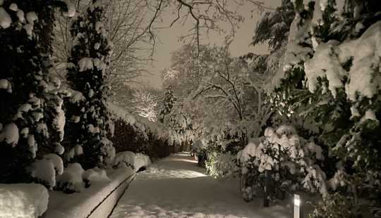 Bild von Exklusiver Bungalow auf großem Grundstück