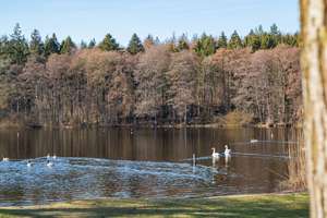 Schönes Wohnen mit Naturpanorama und angrenzendem Grasland von ca. 1 ha Fläche – Die vollständige Adresse der Immobilie erhältst du vom Anbieter., 24363 Holtsee – Vorschaubild 22
