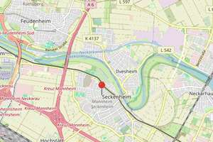 Vielseitiges Anwesen mit Vorder- und Hinterhaus, Halle, Scheune und Entwicklungspotenzial – 68239 Seckenheim, Mannheim – Vorschaubild 25