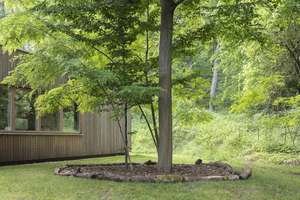 Architektenhaus direkt am Wald – Ruhe, Licht & Natur – Die vollständige Adresse der Immobilie erhältst du vom Anbieter., 29456 Hitzacker (Elbe) – Vorschaubild 15