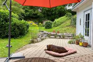 Besondere Immobilie aus zwei Häusern mit großem Garten im grünen Herzen 0bersontheims – Gaildorfer Straße 17, 74423 Schwäbisch Hall (Kreis) – Vorschaubild 20