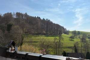 Mehrfamilienhaus in Hanglage mit traumhaftem Panoramablick, Nähe Freiburg – Die vollständige Adresse der Immobilie erhältst du vom Anbieter., 79294 Sölden – Vorschaubild 11