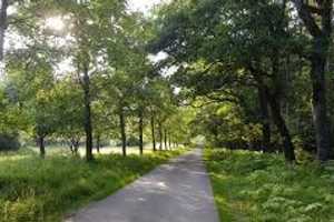 Property thumbnail 23