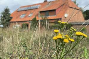 Ländliches Idyll: Resthofstelle in Alleinlage in der "Swinmark" im Wendland – Die vollständige Adresse der Immobilie erhältst du vom Anbieter., 29465 Schnega – Vorschaubild 28