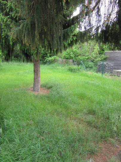 Garten Garten
