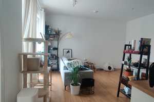 Furnished 2 room apartment in Neubau in Köpenick looking for Nachmieter(in) READ DESCRIPTION  – An der Villa Bolle  3A , 12557 Berlin – Vorschaubild 4
