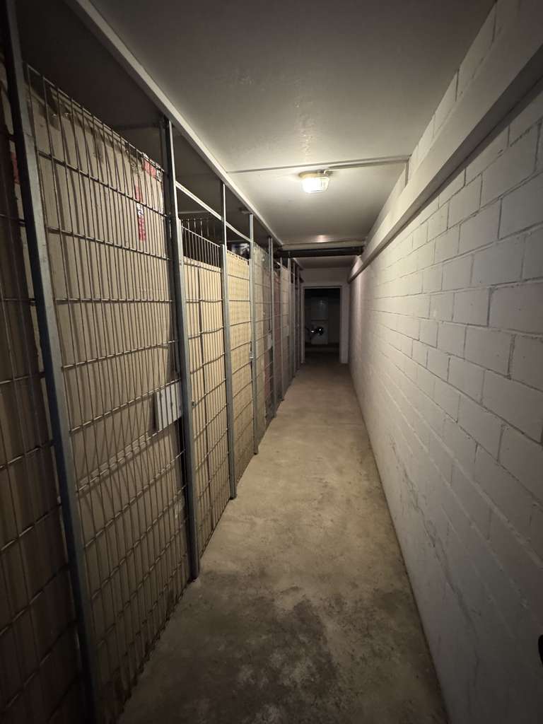 Immobilie in Nesse-Apfelstädt - Freundliche 2-Zimmerterrassenwohnung - Bild 2