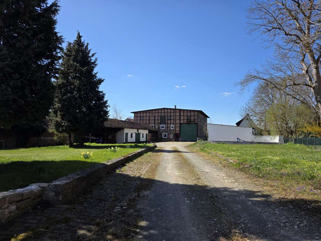 Immobilie in Uehrde - Schöner ruhiger Resthof mit 2 Wohneinheiten, Scheune und Stallungen - Bild 0