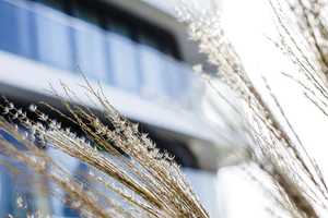 Property thumbnail 26