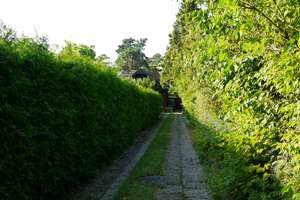 Ihre Rückzugsoase im grünen Nikolassee mit viel Platz, Wellness & Garten – Tellheimstraße 14a, 14129 Nikolassee, Berlin – Vorschaubild 32