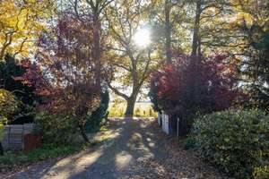 Platz satt, Feldblick gratis, Elmshorn direkt ums Eck! – Die vollständige Adresse der Immobilie erhältst du vom Anbieter., 25335 Altenmoor – Vorschaubild 2