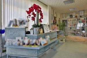 Property thumbnail 7