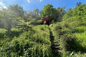 Property thumbnail 14