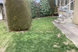 Property thumbnail 26