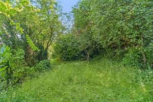 Wohnen mit Atmosphäre und Weitblick am Giersberg: 4ZKB mit EBK, Dachterrasse, Stellplatz und Garten – Edith-Langner-Straße 73, 57072 Siegen, Siegen – Vorschaubild 20