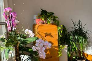 Liebevoll möblierte 2-Zimmer-Wohnung mit Balkon in Offenbach – 63071 Lichtenplatte, Offenbach am Main – Vorschaubild 4