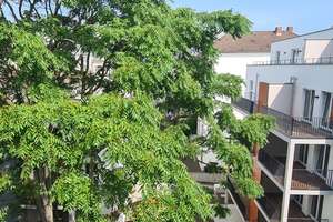 Ab Sofort - schickes Zimmer in 3er WG - Top Lage vom Gallus Viertel – Koblenzer Straße 00, 60327 Gallus, Frankfurt am Main – Vorschaubild 7