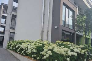 Schicke 1-Zimmer Wohnung mit Balkon in Reutlingen – Unter den Linden 41, 72762 Reutlingen-Mitte, Reutlingen – Vorschaubild 10