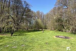 Traumhaftes Einfamilienhaus mit großem Garten! – Friedensstraße 25, 29413 Dähre – Vorschaubild 15