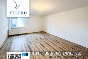 Singles Aufgepasst!! Frisch saniertes 1 Zimmer Appartment!!
