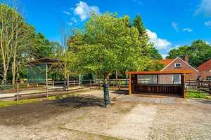 Top Angebot - Pferdehof mit Reitplatz, Halle, Scheune und Landhaus – Aurich (Kreis) – Vorschaubild 7