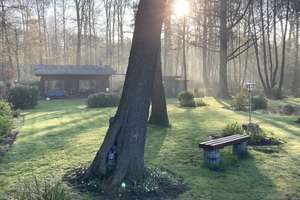 Einmalige Gelegenheit für das Haus am See! – Die vollständige Adresse der Immobilie erhältst du vom Anbieter., 47802 Traar, Krefeld – Vorschaubild 13