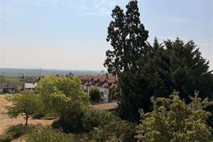 1-Zimmer-Wohnung auf der Haardt mit Weitblick – Die vollständige Adresse der Immobilie erhältst du vom Anbieter., 67433 Haardt, Neustadt an der Weinstraße – Vorschaubild 2