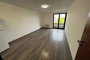 Schöne helle 1 Zimmer Wohnung in Offenbach Ledermuseum zu vermieten!! – 63067 Messehalle, Offenbach am Main – Vorschaubild 2