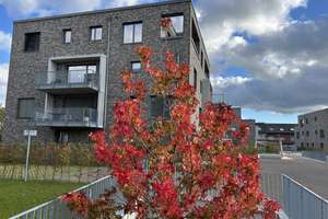 Property thumbnail 17