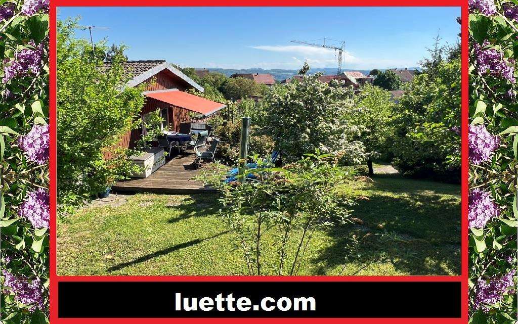 Immobilie in Dogern - Architektenhaus – charmantes, lichtdurchflutetes EFH i. gr. Grundstück eingebettet, Sonnenterrass... - Bild 0