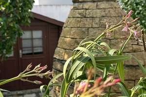 Ein Haus wie Neu!!!! – Die vollständige Adresse der Immobilie erhältst du vom Anbieter., 61130 Nidderau – Vorschaubild 31