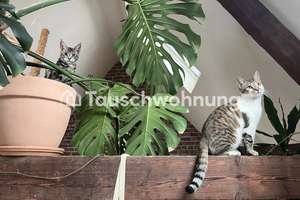 Tauschwohnung: Maisonette-Traum gegen Haus/Wohnung – Neusser Straße 330, 50733 Nippes (Ortsteil), Köln – Vorschaubild 13
