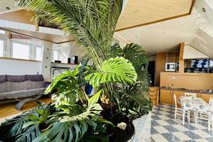 Wohnhaus auf großem Grundstück mit Werkstatt-/Lager- und Bürogebäuden – Die vollständige Adresse der Immobilie erhältst du vom Anbieter., 56357 Nochern – Vorschaubild 6
