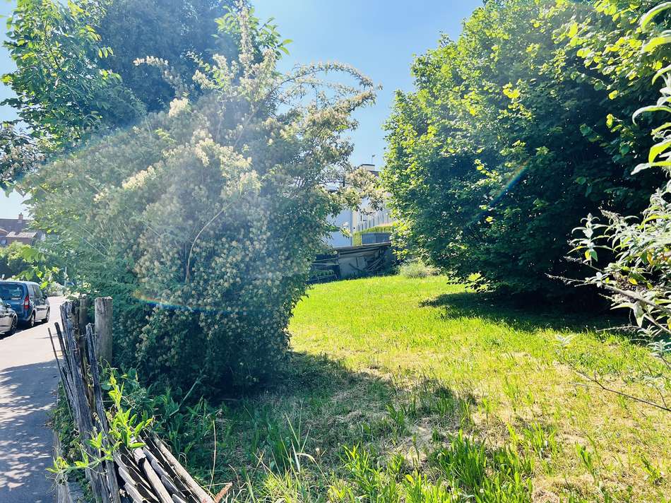 Flst.Nr. 8920_2_Bild3