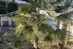Doppelhaushälfte mit Garten und Balkon - Sackgassen Lage in Neukirchen-Vluyn – Wesel (Kreis) – Vorschaubild 1