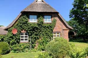 Stilvolles Reetdachhaus auf parkähnlichem Grundstück – Ostholstein (Kreis) – Vorschaubild 9