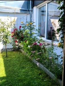 Ihr neues Zuhause: Gepflegtes Reihenhaus mit viel Potenzial