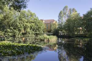 2 Zimmer Kapitalanlage in Potsdam – Zum Teich 12, 14480 Kirchsteigfeld, Potsdam – Vorschaubild 2