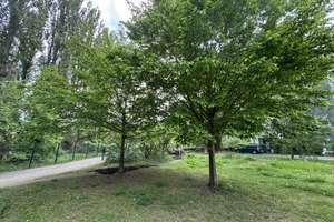 Seltenes Reihenendhaus an der Rummelsburger Bucht mit Garten, Terrasse und unverbaubarem Wasserblick – Die vollständige Adresse der Immobilie erhältst du vom Anbieter., 10317 Rummelsburg, Berlin – Vorschaubild 12