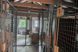 Helles 1-Zimmer-Studio mit Parkplatz in OL - Osternburg mit Balkon – Die vollständige Adresse der Immobilie erhältst du vom Anbieter., 26135 Drielaker Moor, Oldenburg (Oldenburg) – Vorschaubild 13