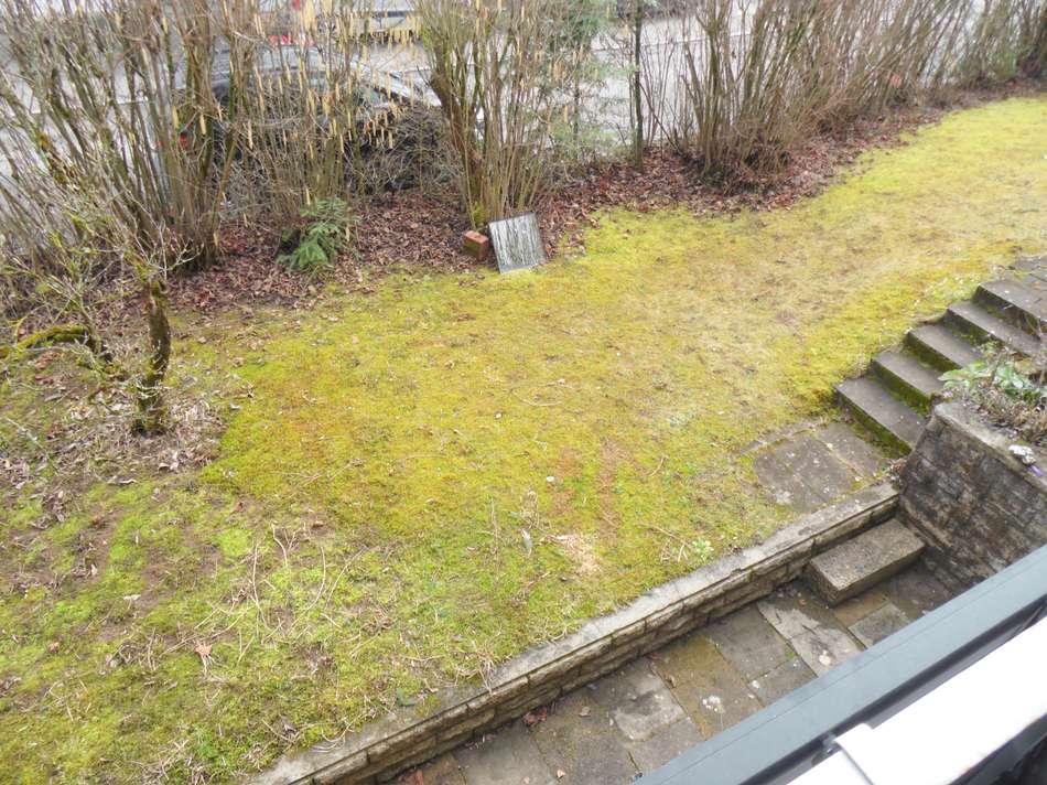 Blick in den Garten