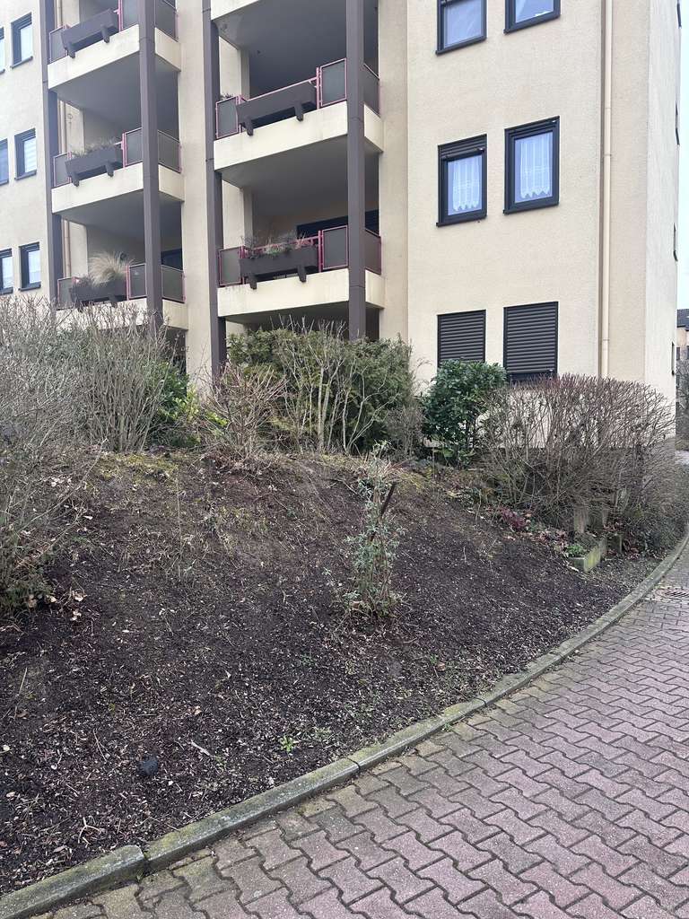 Immobilie in Limburgerhof - +++Kapitalanleger gesucht+++ - Bild 1