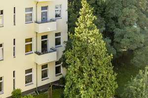 Helle Erdgeschoss-Perle | Bezugsfreie 1-Zimmer-Wohnung in ruhiger Reinickendorfer Kiezlage – Amendestraße 29, 13409 Reinickendorf (Ortsteil), Berlin – Vorschaubild 23