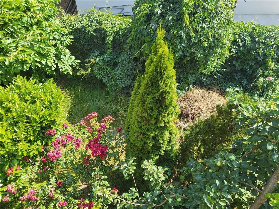 3571 Garten