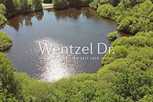 Property thumbnail 26