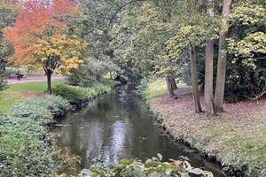 Property thumbnail 44