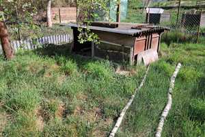 Landhaus für Gartenfreunde und Tierhalter! – Oder-Spree (Kreis) – Vorschaubild 38